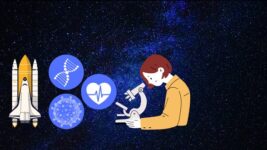 Linode: Build a Scalable Blog App using PHP & MySQL DB